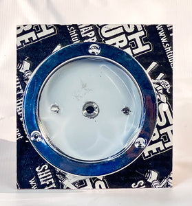 Light, Watermelon Light 4" SS Conversion Kit