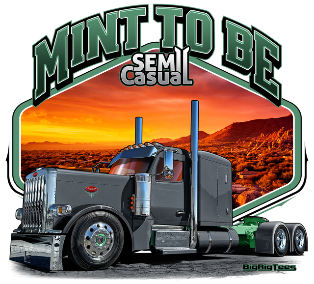 Mint To Be, NEW DESIGN! Grey 589 W/Mint Colored Frame